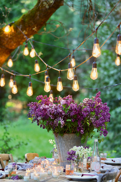 Puriri Lane | French Country Cottage | Inspired Gatherings