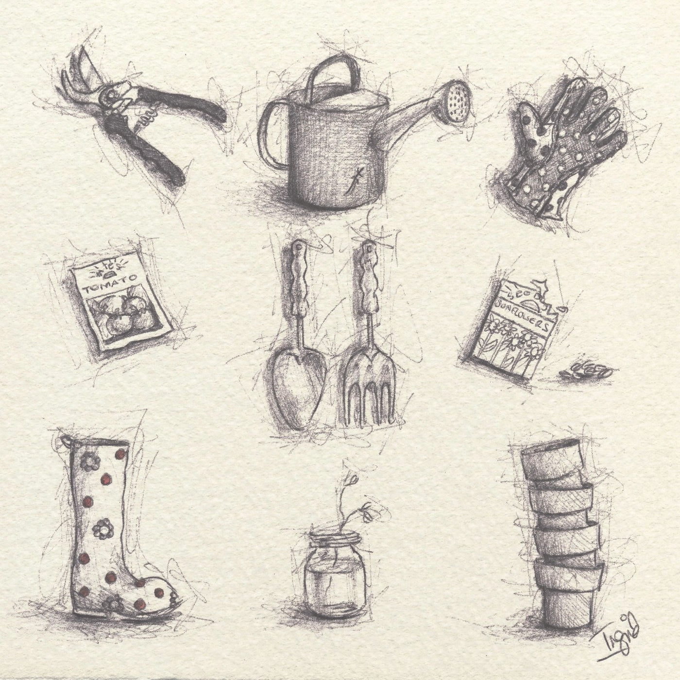 Puriri Lane | Green Fingers