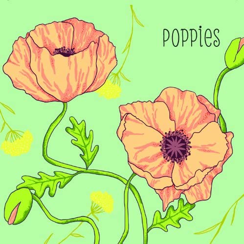 Puriri Lane | Grow A Garden | Matching Game