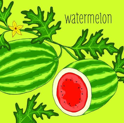 Puriri Lane | Grow A Garden | Matching Game