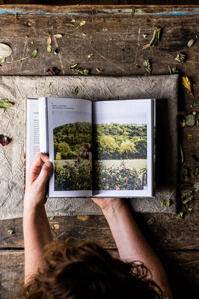 Puriri Lane | Grow & Gather | Grace Alexander