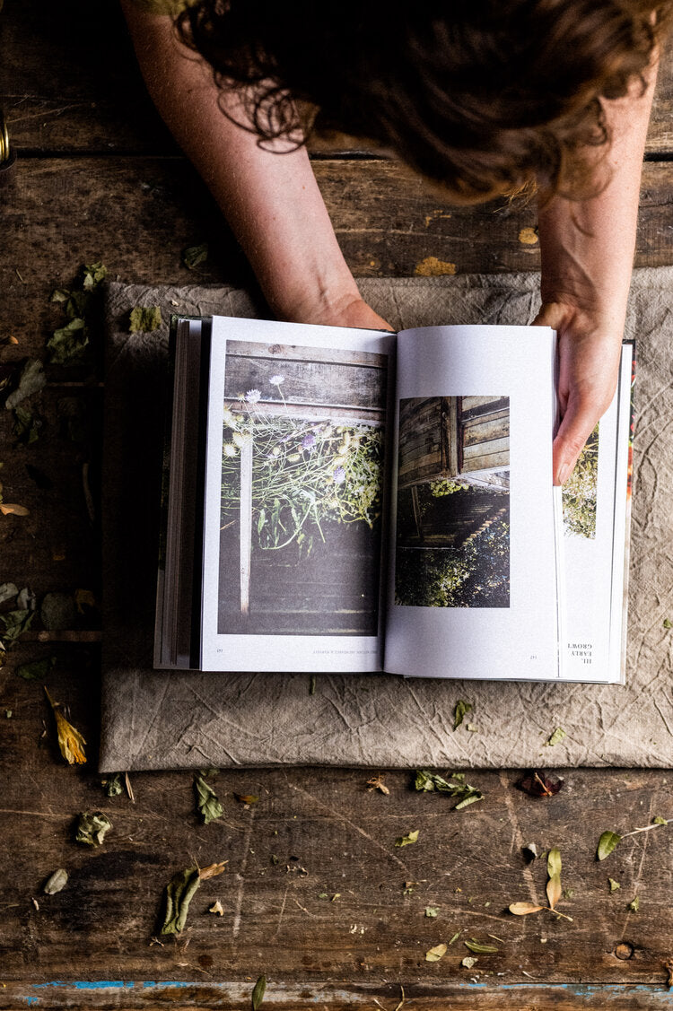 Puriri Lane | Grow & Gather | Grace Alexander