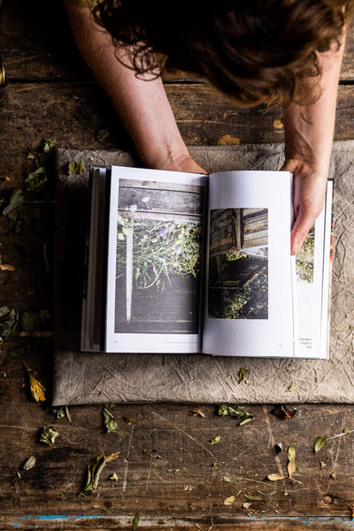 Puriri Lane | Grow & Gather | Grace Alexander