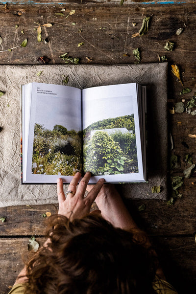 Grow & Gather | A Gardeners Guide To A Year Of Cut Flowers