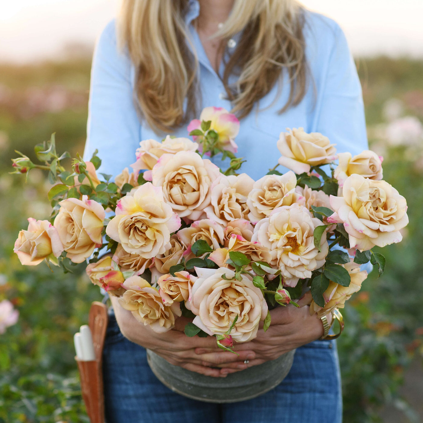 Puriri Lane | Growing Wonder | Felicia Alvarez | Autographed