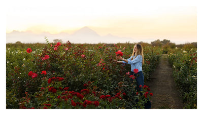 Puriri Lane | Growing Wonder | Felicia Alvarez | Autographed