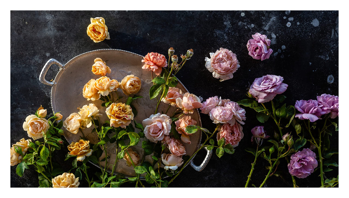 Puriri Lane | Growing Wonder | Felicia Alvarez | Autographed