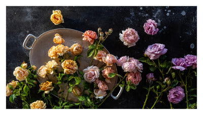 Puriri Lane | Growing Wonder | Felicia Alvarez | Autographed