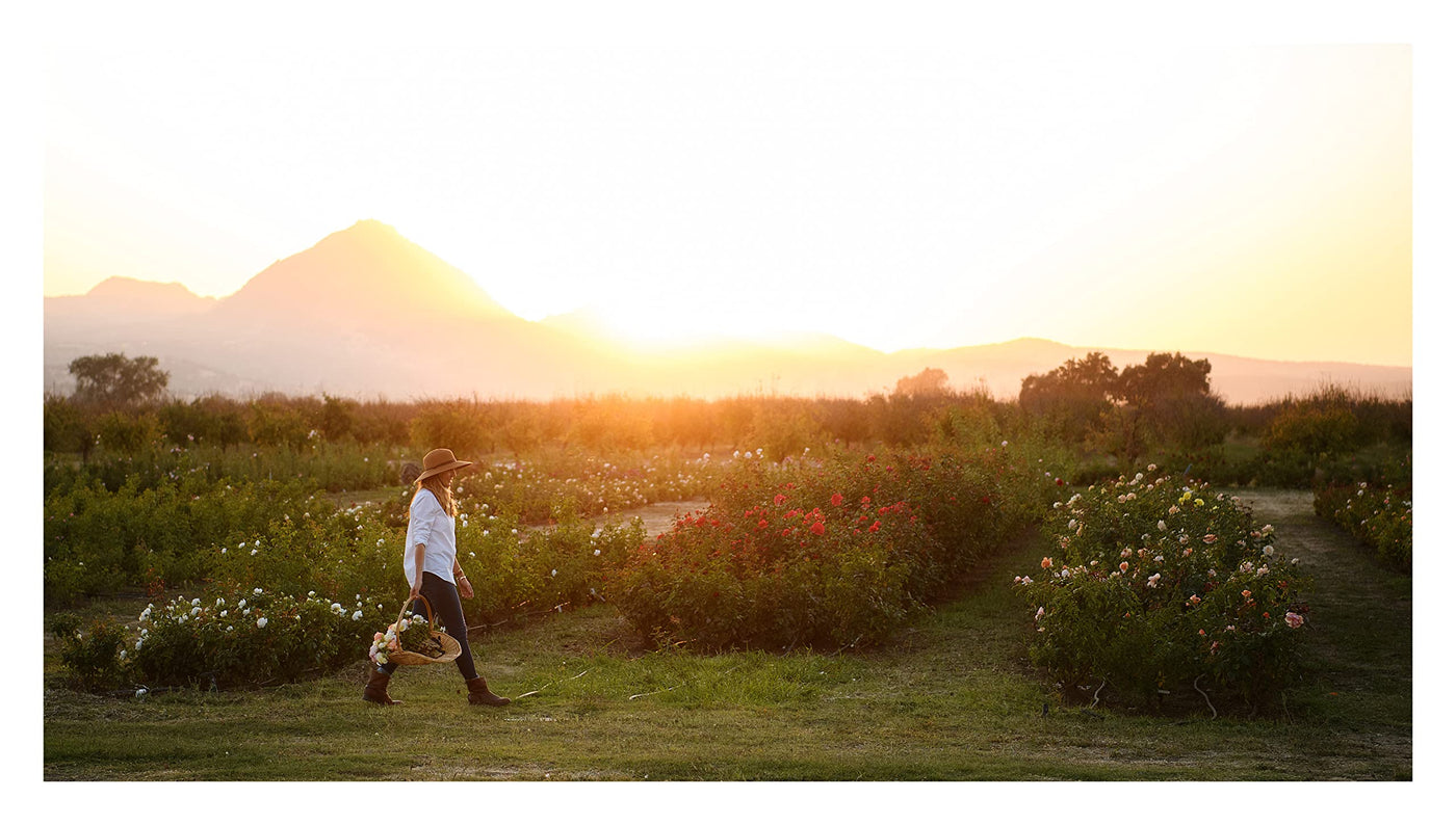 Puriri Lane | Growing Wonder | Felicia Alvarez | Autographed
