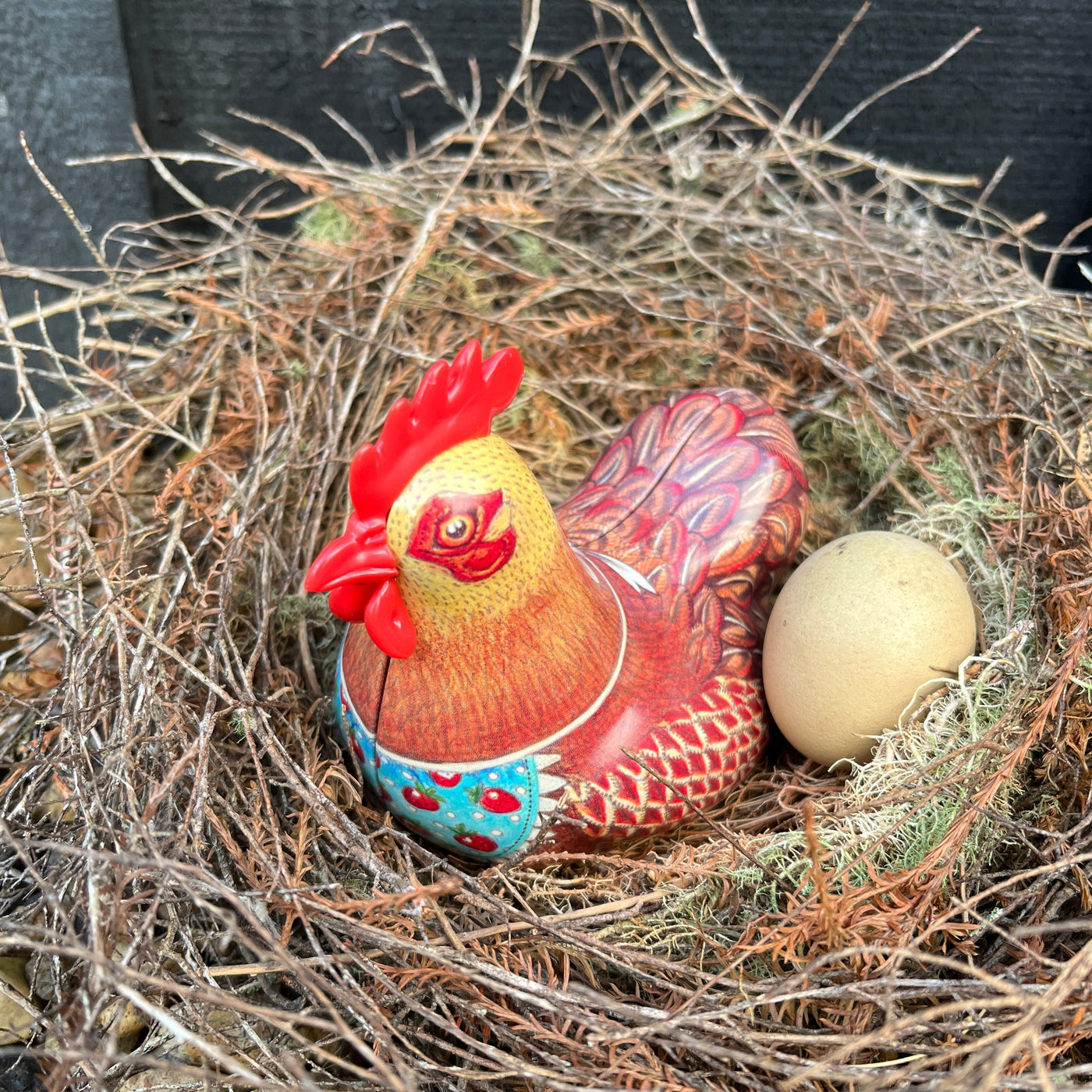 Puriri Lane | Happy Hens | Florence