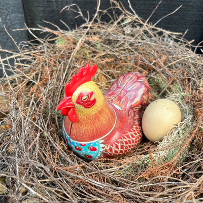 Puriri Lane | Happy Hens | Florence
