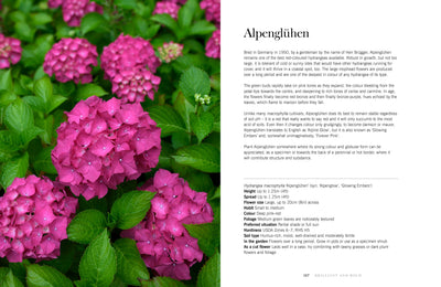 Puriri Lane | Hydrangeas | Beautiful varieties for home and garden | Naomi Slade