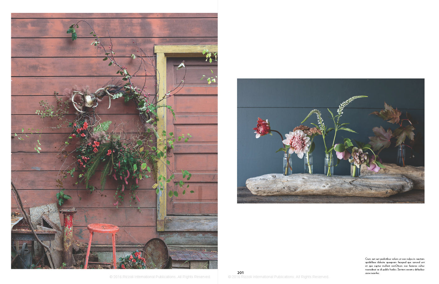 Puriri Lane | In Full Flower | Gemma & Andrew Ingalls