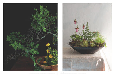 Puriri Lane | In Full Flower | Gemma & Andrew Ingalls