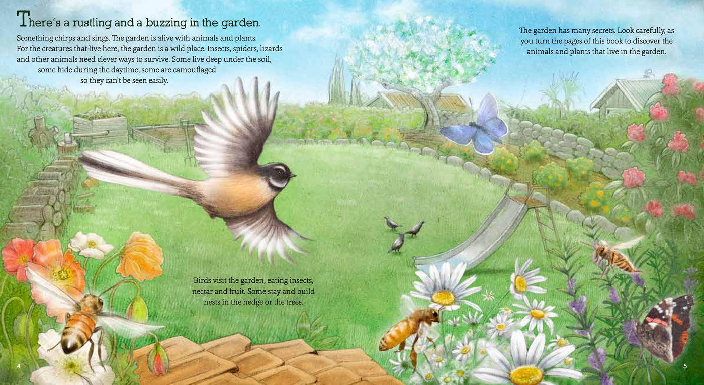 Puriri Lane | In The Garden | Explore & Discover The New Zealand Backyard | GIllian Candler & Ned Barraud