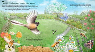 Puriri Lane | In The Garden | Explore & Discover The New Zealand Backyard | GIllian Candler & Ned Barraud