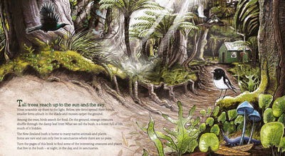 Puriri Lane | In The Bush | Ned Barraud & Gillian Candler