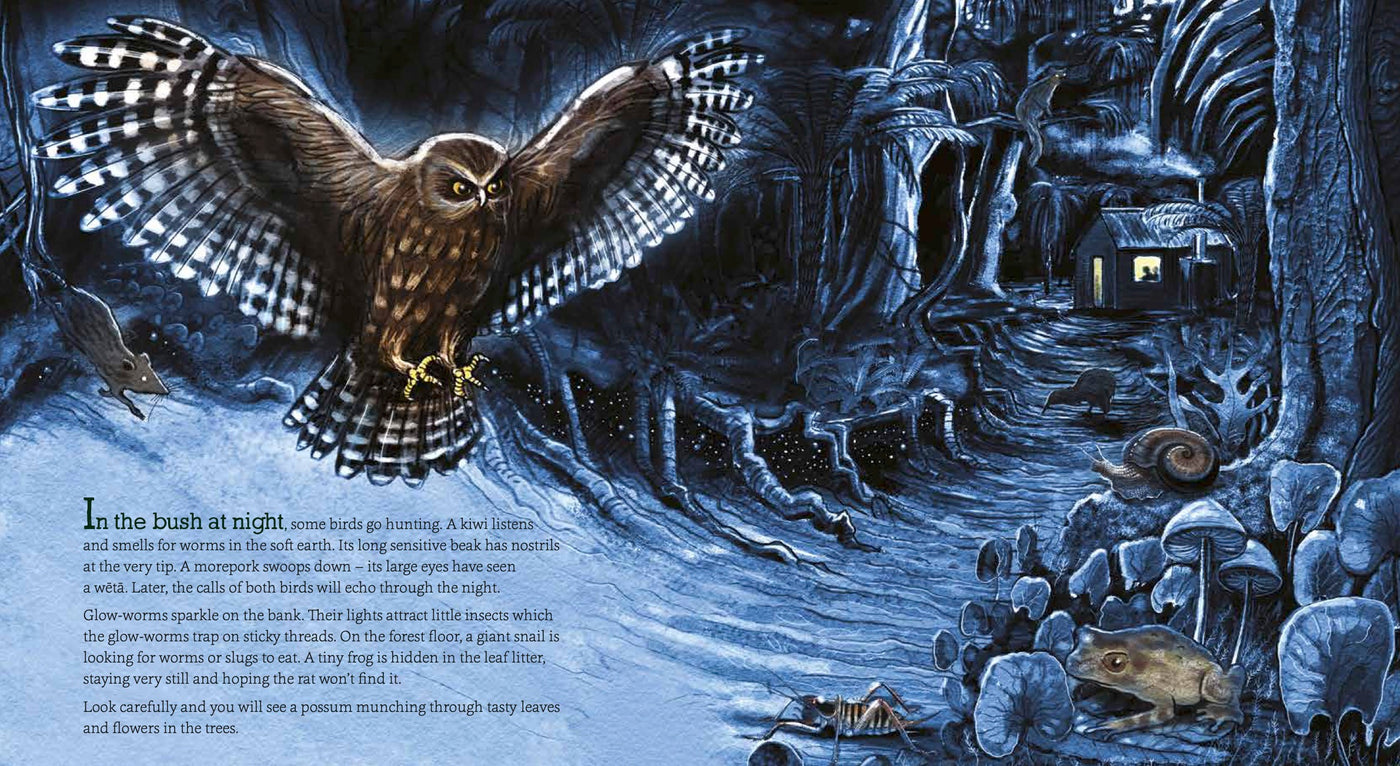 Puriri Lane | In The Bush | Ned Barraud & Gillian Candler