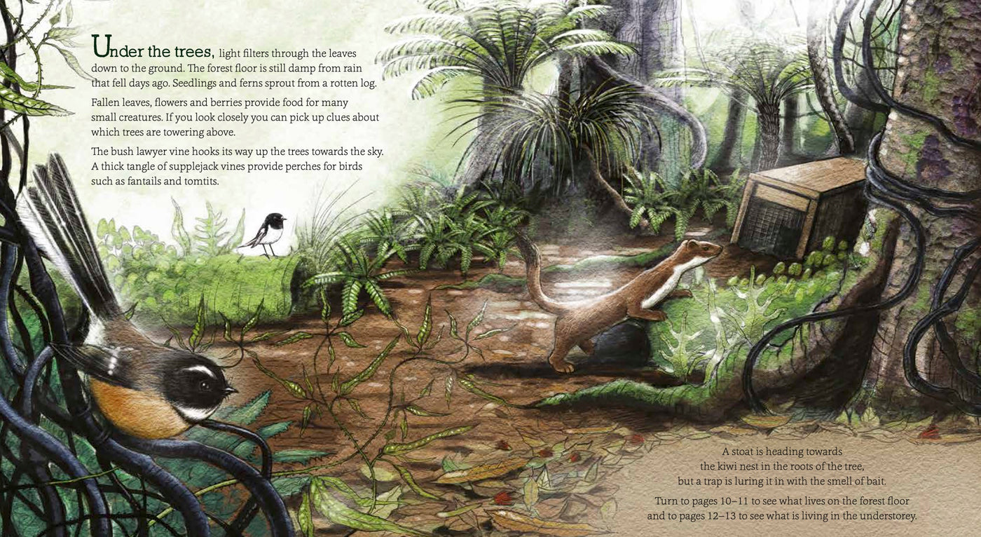 Puriri Lane | In The Bush | Ned Barraud & Gillian Candler