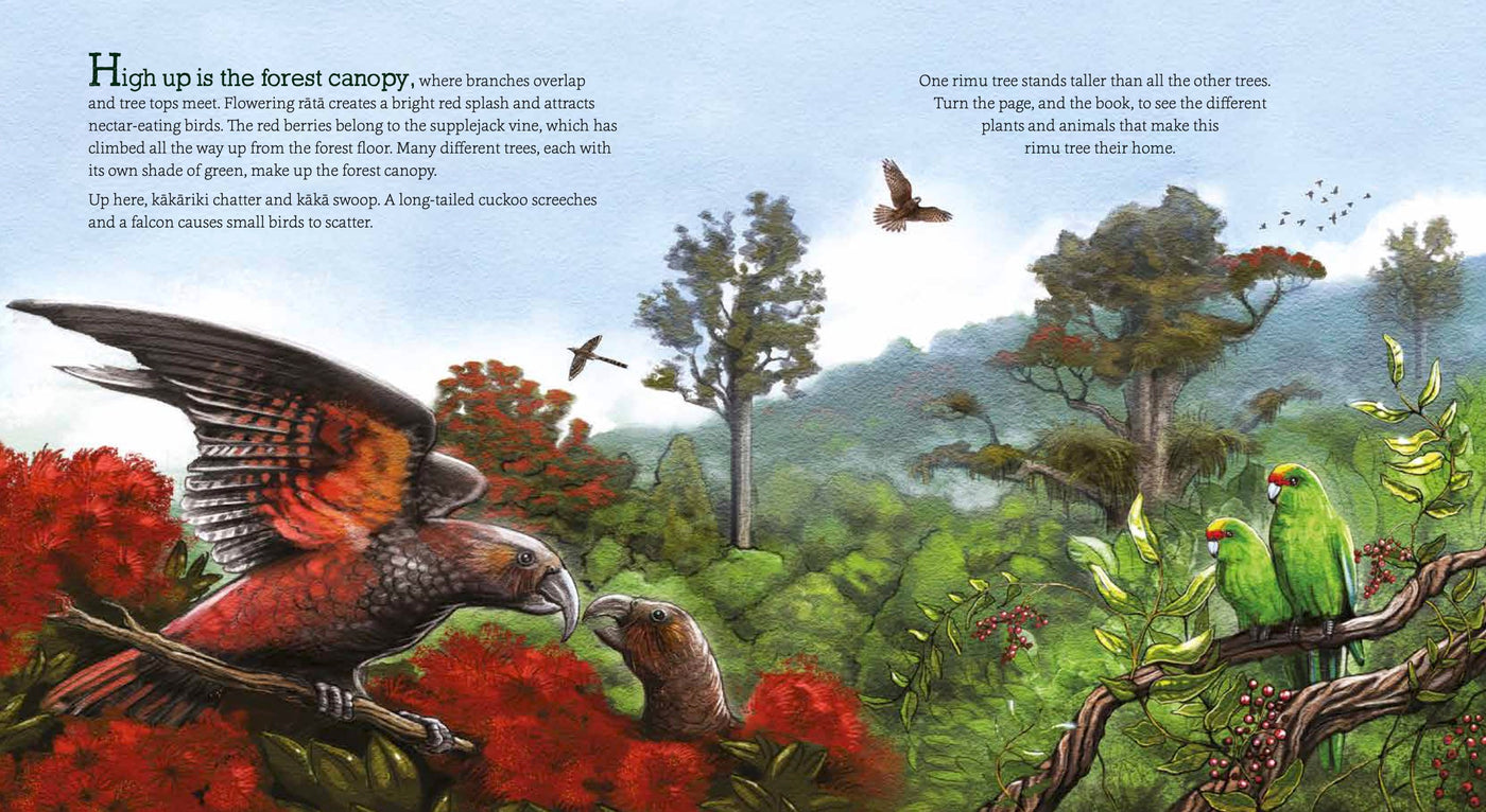 Puriri Lane | In The Bush | Ned Barraud & Gillian CandlerPuriri Lane | In The Bush | Ned Barraud & Gillian Candler