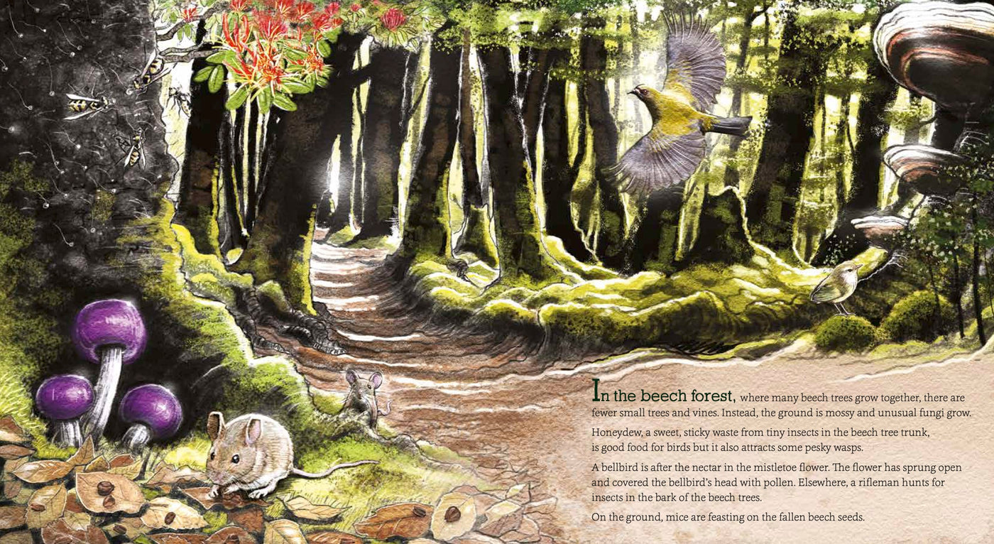 Puriri Lane | In The Bush | Ned Barraud & Gillian Candler