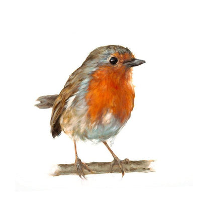 Robin Tin | Rectangular | Jo Stockdale