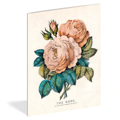 Puriri Lane | Everything Roses | Set of 3 Notebooks | John Derian