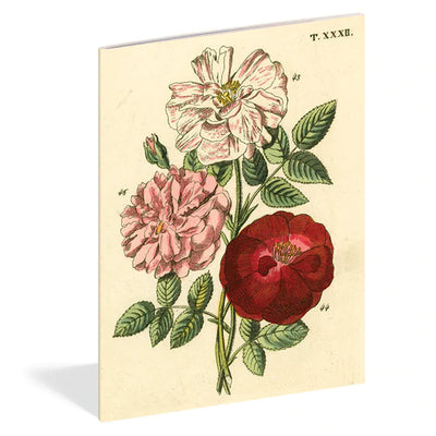 Puriri Lane | Everything Roses | Set of 3 Notebooks | John Derian