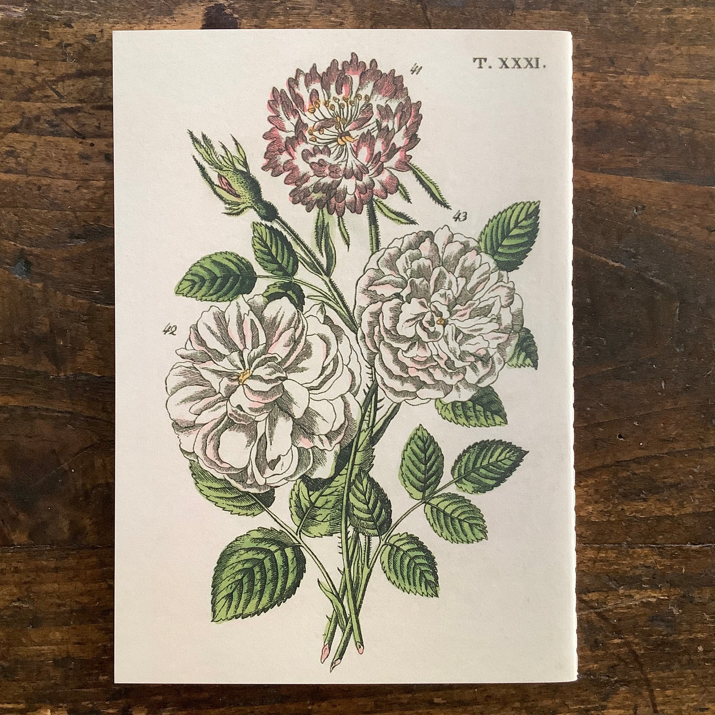 John Derian Notebooks | Everything Roses | Set of 3