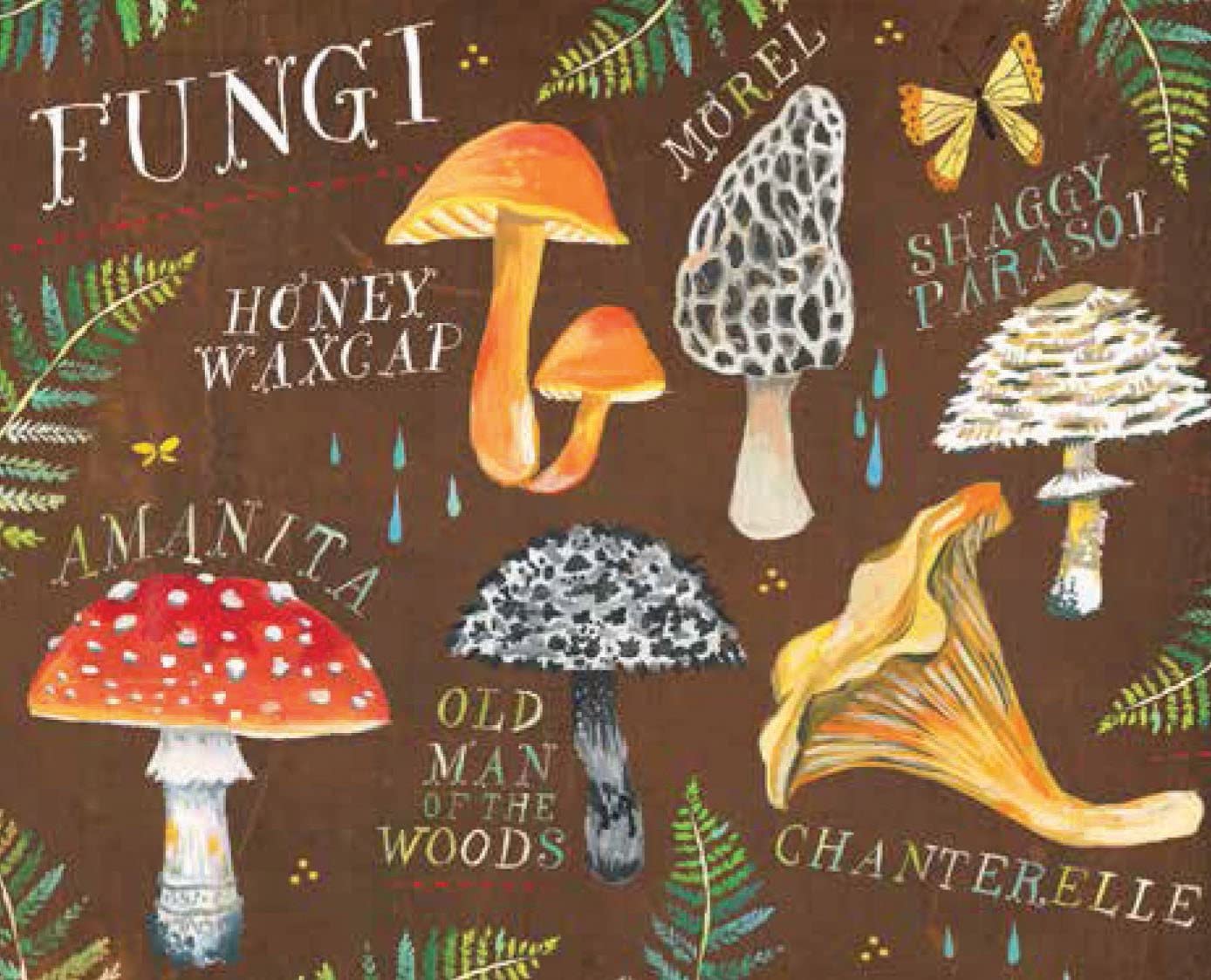 Puriri Lane | With Love Adventure and Wildflowers | Katie Daisy | Notecards