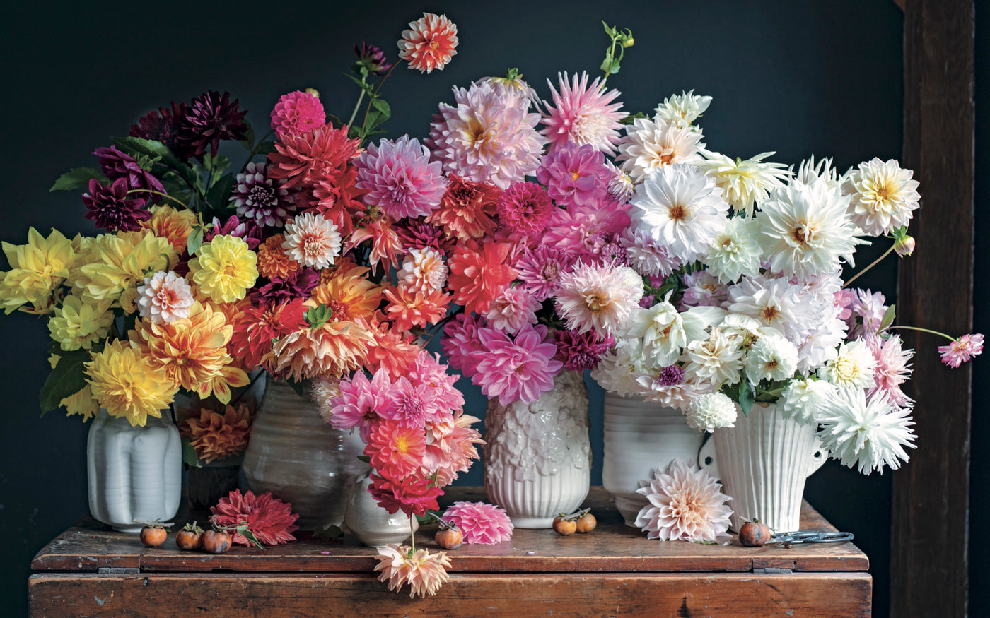 Puriri Lane | Life In The Studio | Frances Palmer