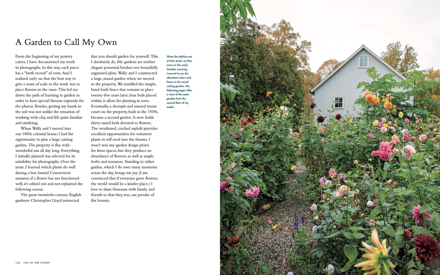 Puriri Lane | Life In The Studio | Frances Palmer