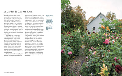 Puriri Lane | Life In The Studio | Frances Palmer