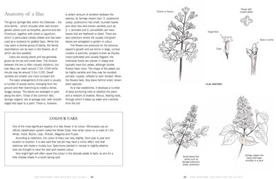 Puriri Lane | Lilacs | Beautiful Varieties For Home & Garden | Naomi Shade