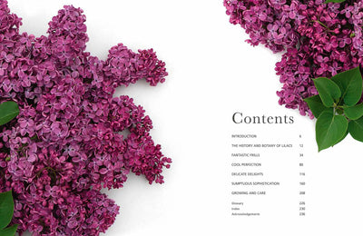 Puriri Lane | Lilacs | Beautiful Varieties For Home & Garden | Naomi Shade