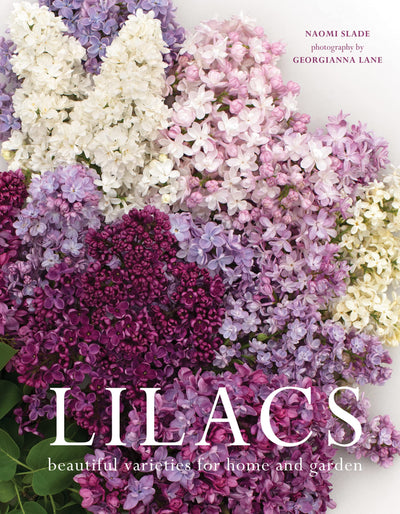 Puriri Lane | Lilacs | Beautiful Varieties For Home & Garden | Naomi Shade