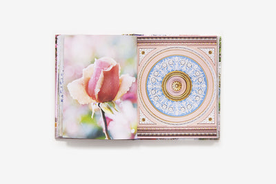 Puriri Lane | London In Bloom | Georgianna Lane