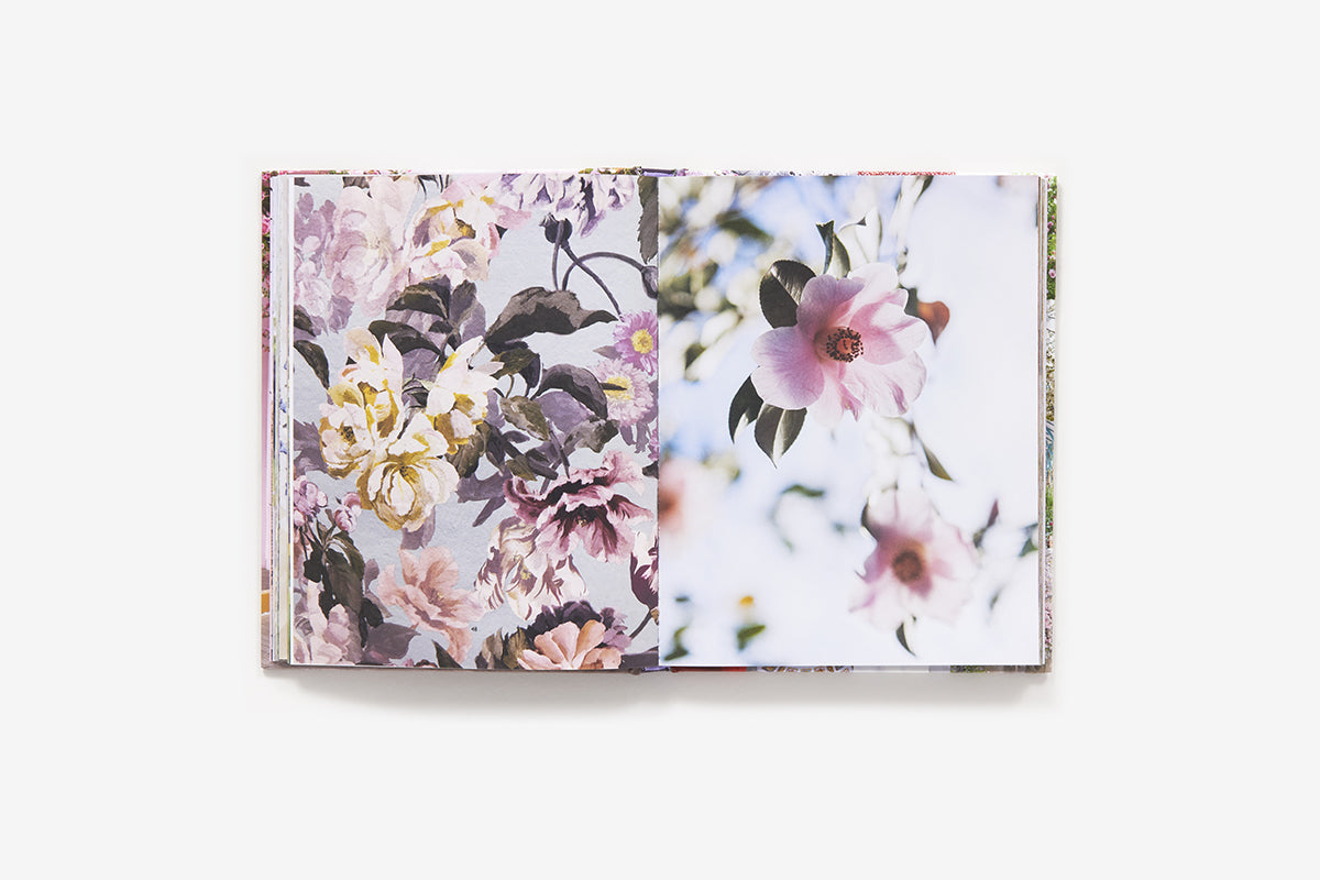 Puriri Lane | London In Bloom | Georgianna Lane