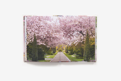 Puriri Lane | London In Bloom | Georgianna Lane