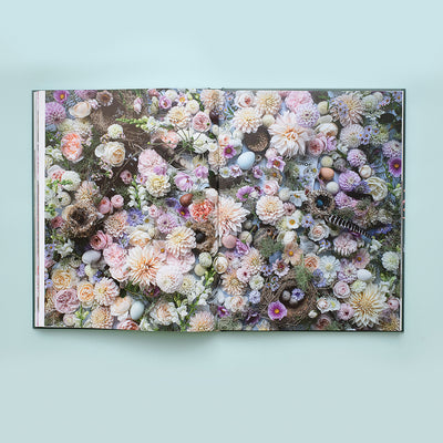 Puriri Lane | Lost & Found | Zoë Field 