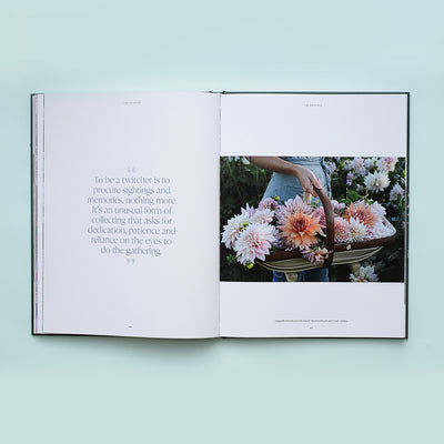 Puriri Lane | Lost & Found | Zoë Field 