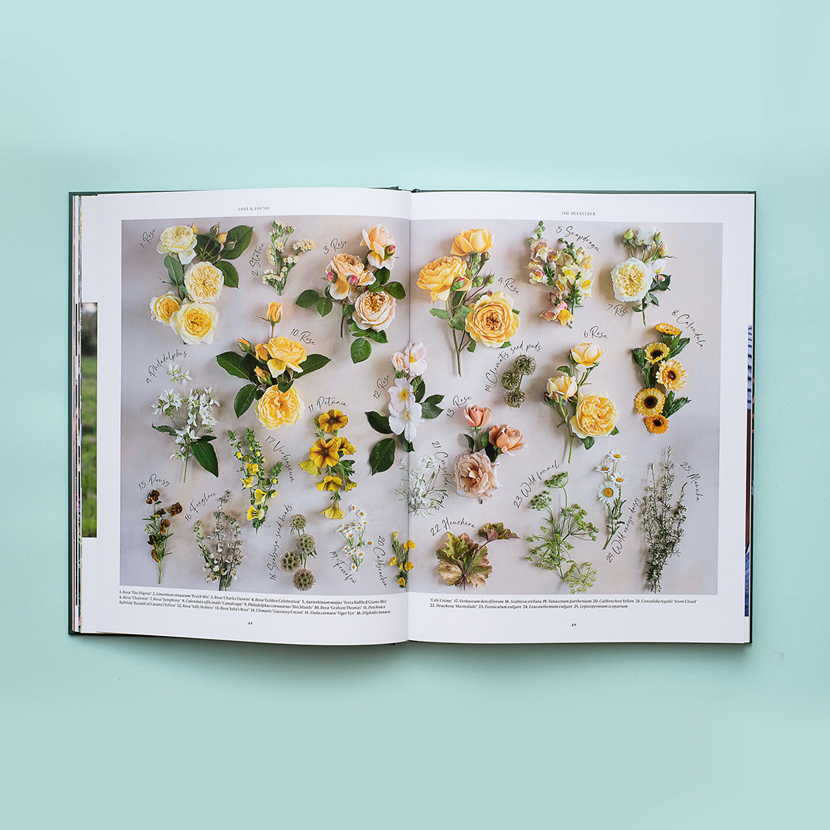 Puriri Lane | Lost & Found | Zoë Field 