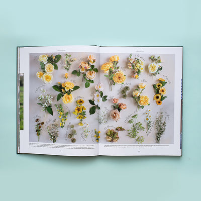 Puriri Lane | Lost & Found | Zoë Field 