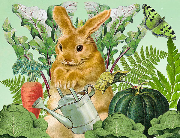 Puriri Lane | Little Vintage | The Potting Shed