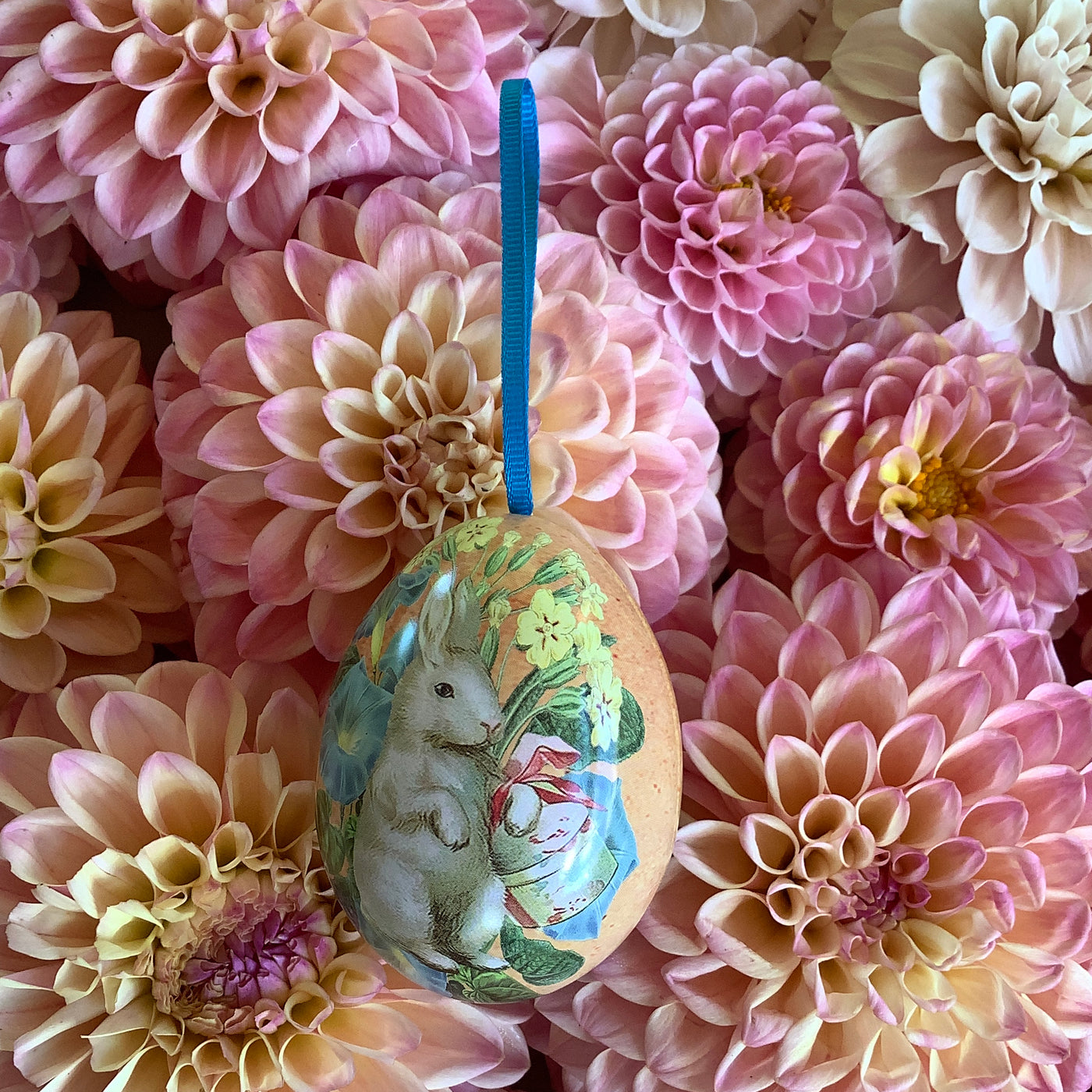 Puriri Lane | Madame Treacle | Easter Egg | Tin