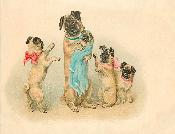 Puriri Lane | Little Vintage | Pug Dogs | Card