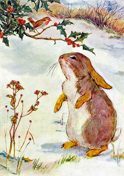 Puriri Lane  | Madame Treacle | Rabbit & Robin