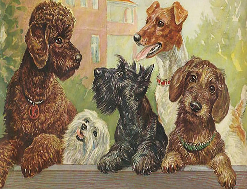 Puriri Lane | Madame Treacle | Little Vintage