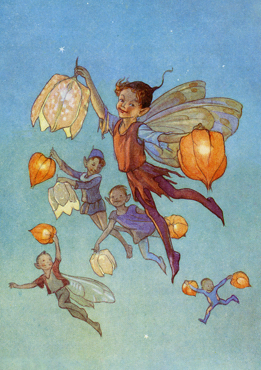 Puriri Lane | Flower Fairies | Margaret Tarrant | Lanterns