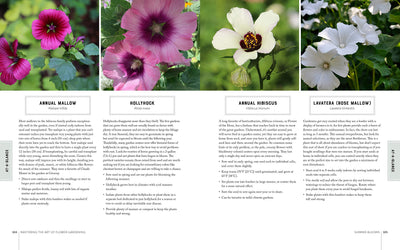 Puriri Lane | Mastering The Art Of Flower Gardening | Matt Matus